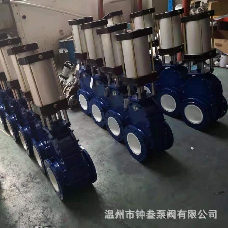 Z644TC-10C 气动铸钢陶瓷平行双闸板闸阀 DN40 耐磨输灰进出料阀