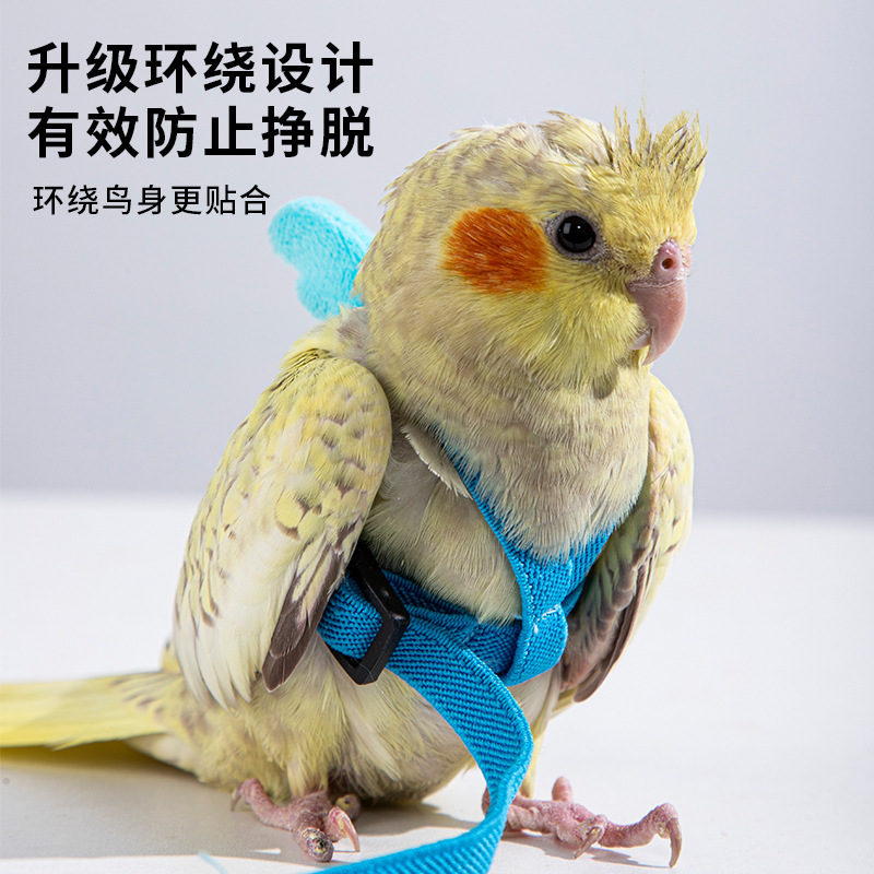 鸟用鹦鹉放飞绳玄凤虎皮牡丹牵引绳飞行外出天使翅膀背带遛鸟用品|undefined