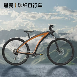 滑板车;自行车;山地自行车