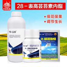 雲大YD120 28表高芸苔素內酯 提高座果率 植物生長調節劑 農葯