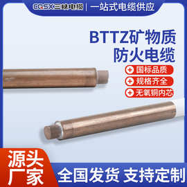 三峡/渝丰电缆BTTZ矿物质防火电缆YTTW铜芯BTLY BBTRZ BTTZ电线