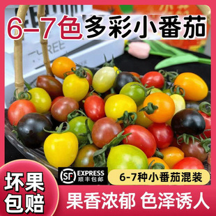 ɽ�|�߲�С�������r�Fժ�F�l��ɫС���������֭�}Ů������bˮ��