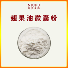 翅果油微囊粉1kg 翅果油粉