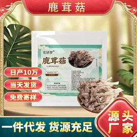 代用/养生茶;其他药食同源;运动营养食品