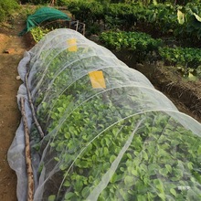 种菜80目60目加密蔬菜防虫网纱网青菜地园农用大棚园艺工具园林工