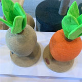 Морковная игрушка, спортивный комплекс, кот, популярно в интернете, домашний питомец