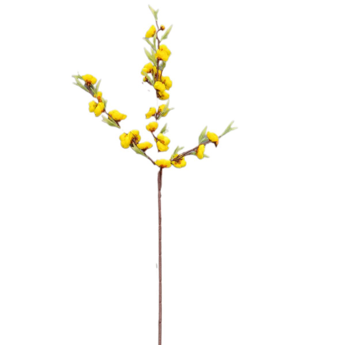 세 갈래의 녹색 잎 매화 노란색