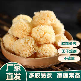 四川通江椴木小银耳小朵无硫糯耳雪耳白木耳500g团购礼品搭配批发