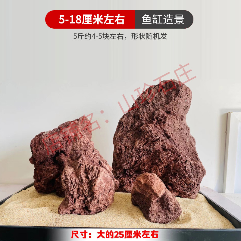 9파운드 5- 18cm 빨간색 [선택된 조경] 약 7개