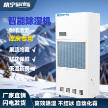 ��Gening�͵͜ع��I����C���ʵ����ҳ���������}��܇�g���S