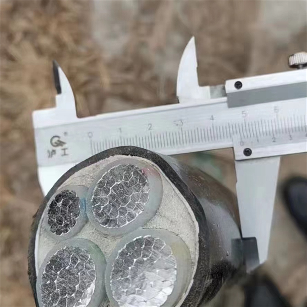 微信图片_202401171500531