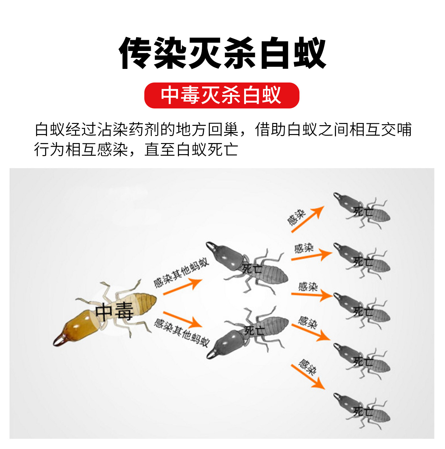 ������������ҩ����������ϼ���װ�ޱ���԰������������ɱ����