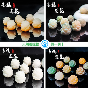 ��Ȼ������������ɏ�����������������ֹ�DIY���ɢ��������