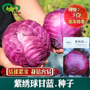 ����ʢ���Ͻ�����{�N�ӽY��o�� �������� �׷N�ڸд�����ɫ���{