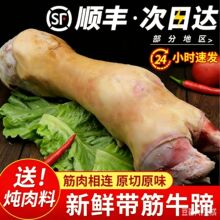 5斤新鲜黄牛蹄脚整只原切带筋带骨牛脚农家散养牛腿冷冻生鲜食材