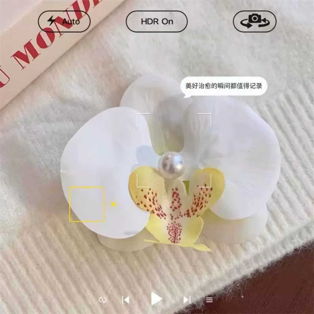 Hairgrip floral clips, princess French-style phalaenopsis & plumeria, multi-size duckbill & pins