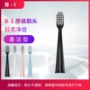 B-1 brush head [Black]