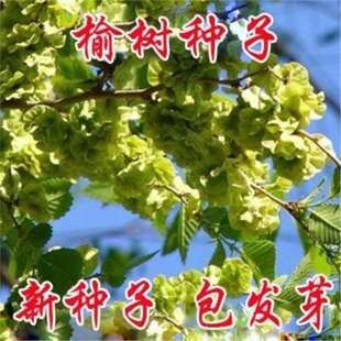�ܘ�N�����ܘ䠝�N���ܘ�ķN�Ӱ��ܘ�N���ܘ��X���~�����ܷN��