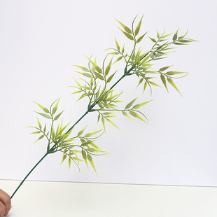 �¿����~С����֦���������ϾGֲ�٘��~���L�Ĕz�����b[��ֱ�N