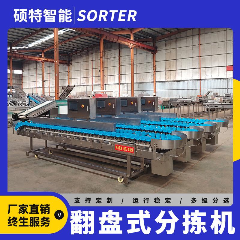 鱿鱼大虾鸡肉料盒重量分拣机 鱼块多规格自动称重分选设备