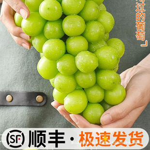 ꖹ�õ���������rˮ��5���������џo����ӡ�������ᮔ��������S