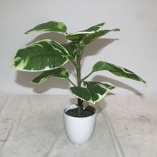 ���W��߅������ֲ���辰�Ҿ������b�������҃Ȕ[�O���ԾGֲ