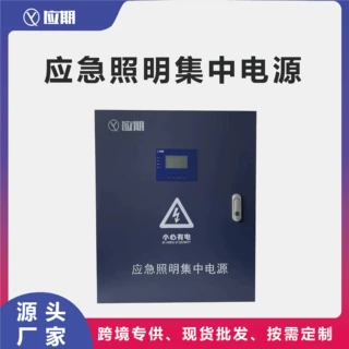 应期A型应急照明集中电源EPS智能疏散指示系统来图定制