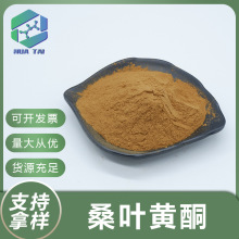 桑叶黄酮10%桑叶提取物食品级桑叶浓缩粉华肽生物量大从优包邮