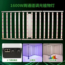 植物生长灯