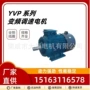 大泰山东变频调速电机