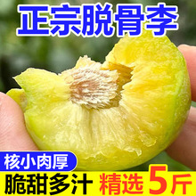 �����Ĵ�Ó�Ǽt�����������������rˮ��������t������봨���l