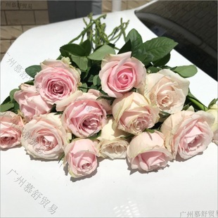 Flowers Fresh Base Bouquet Yunnan Rose Gift Straight Hair Perfume Lily Direct Wholesale Real Flower Sunflower X20