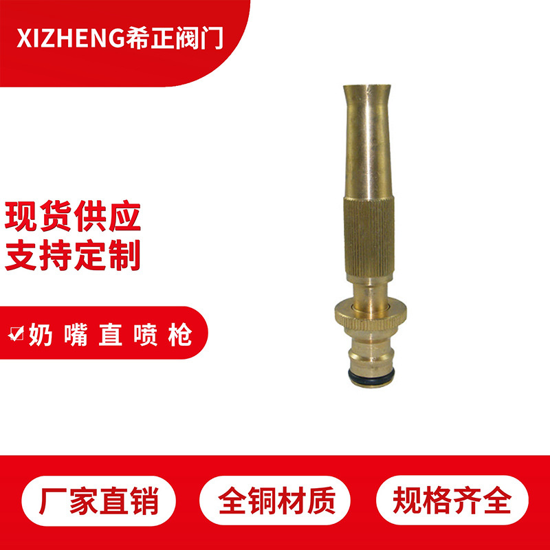 简易洗车水枪管接铜可接快速接头通水接奶嘴直喷枪户外清洁