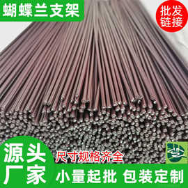 蝴蝶兰支架支撑杆造型架子园艺花卉兰草花枝夹子蔓藤爬藤植物固定