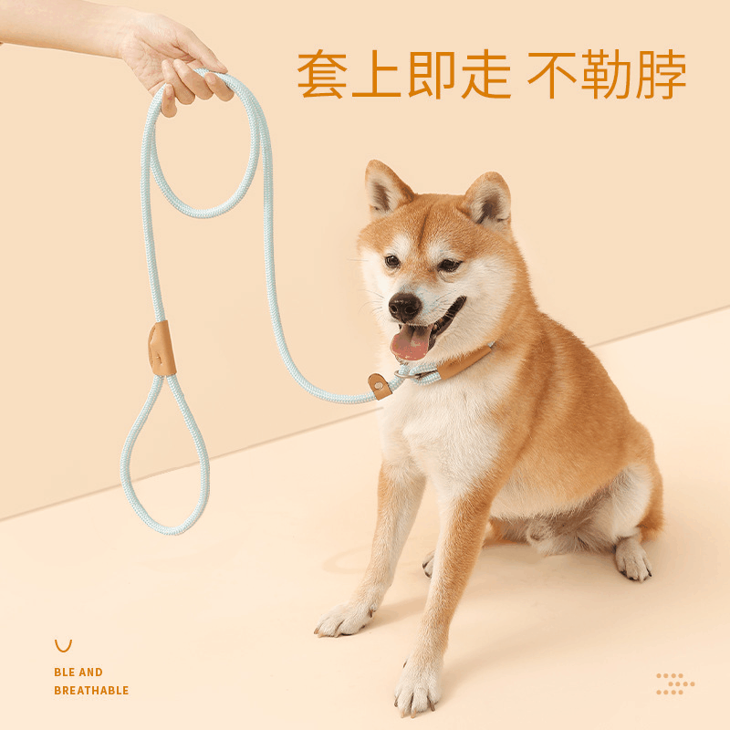 跨境狗狗牽引繩中大型犬通用安全扣狗鏈項圈遛狗P鏈寵物用品批發