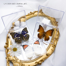 �������չ�����x�˱���ˇƷ�[���׃��@�̌W����չƷdiy�S��ֱ�N
