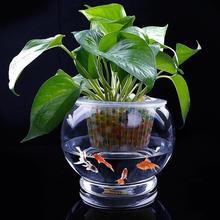 花盆玻璃圆球水培绿萝植物透明大号玻璃花瓶桌面水养鱼缸器皿容器