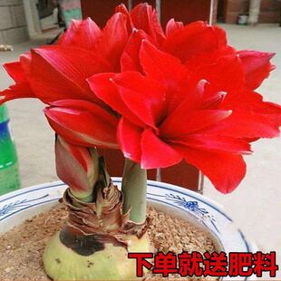 ���m�M����피t�ذ�N���ļ��_��ͥԺ�̨���Ժ��B���ܴ�ȫ�B����