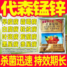 80%��ɭ�i�\�������������߲��S��˪ù�����Ǵ�ɭ�i�\��Ʒ�rș