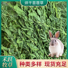 2023新烘干苜蓿草 箱装宠物用 兔子龙猫荷兰猪豚鼠宠物草料