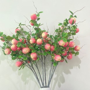 ����ʯ��֦����֦ �S��lؔ���ٻ��ٹ����Ҿә����Ƶ��c�b�