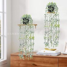 �羳������������ȼ����������_���ԑҒ�����~���ԾGֲ�b��辰