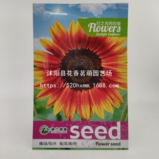 �ذ�̫ꖻ����N�ӻ����ļ��_���҃Ȼ����׻�����N�����տ��N����