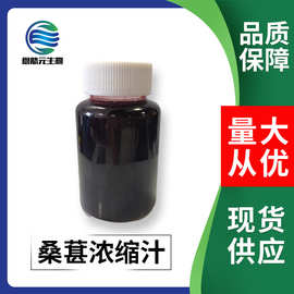 桑葚浓缩汁 1千克装 水果浓缩汁  现货供应 桑葚提取液/浓缩液