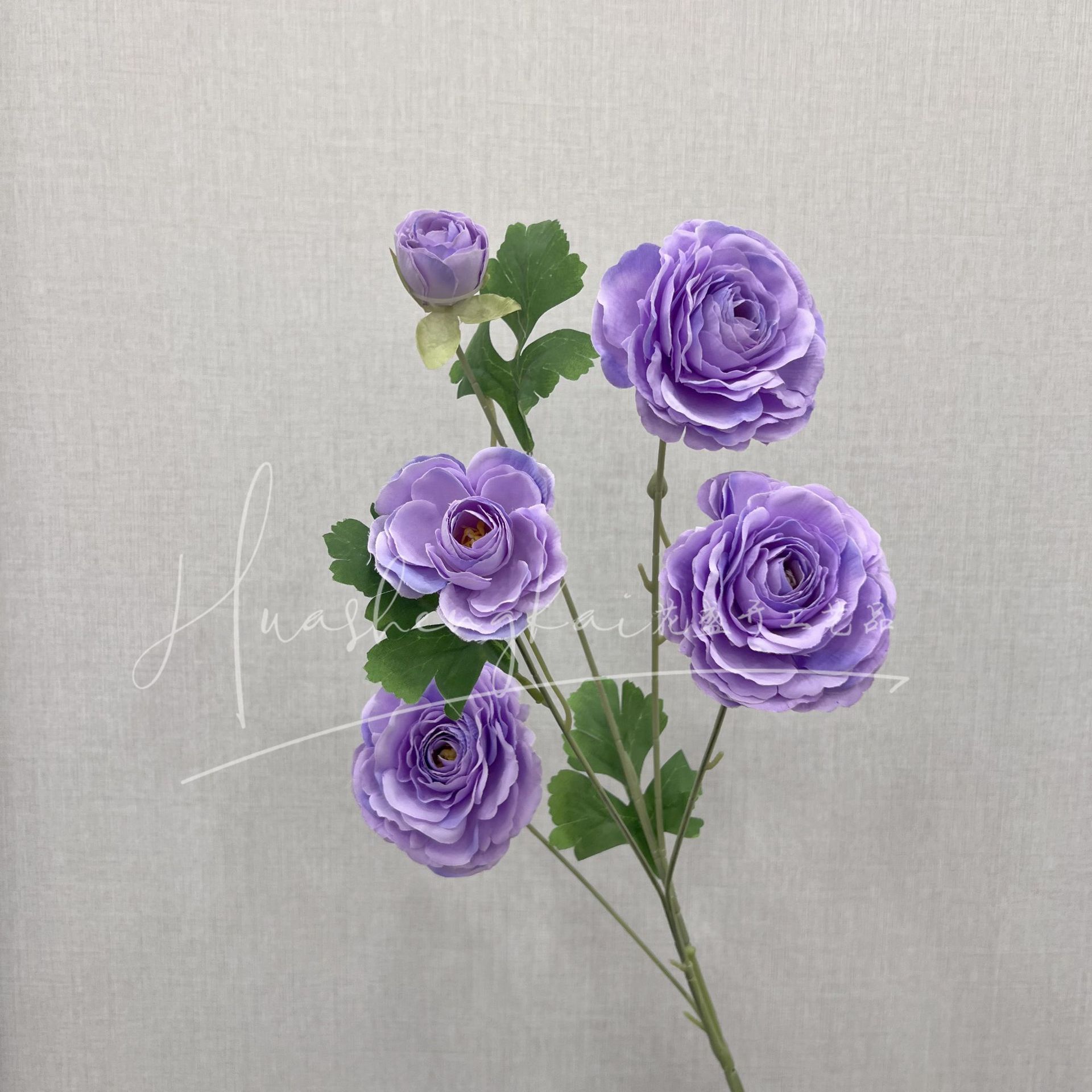 보라색