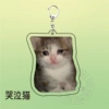 Crying cat