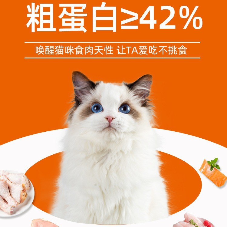 Comida para gatos liofilizada, gatitos, gatos adultos, gatos callejeros, pasteles de gatitos cortos británicos, leche para engordar, nutrición, branquias, comida para gatos, precio completo, universal