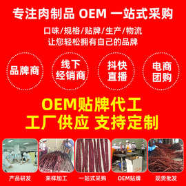 支持定制猪肉干批发风干手撕肉零食厂家景区特产地摊风干猪肉脯食