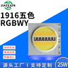 COB1916燈珠 RGBWY五合壹戶外亮化光源 25W集成光源高亮戶外光源