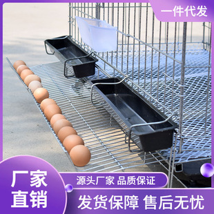 �ӝL���u�\��̖�����̨������ƄӶ��ӿ��u���Bĸ�u